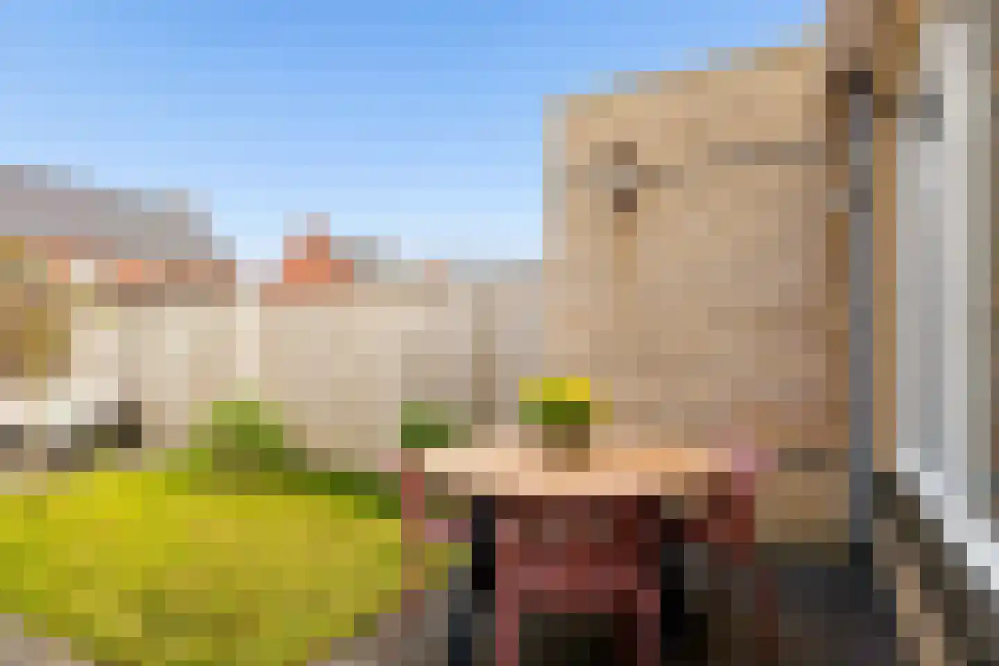 De Bente 36 Zeewolde thumbnail 41