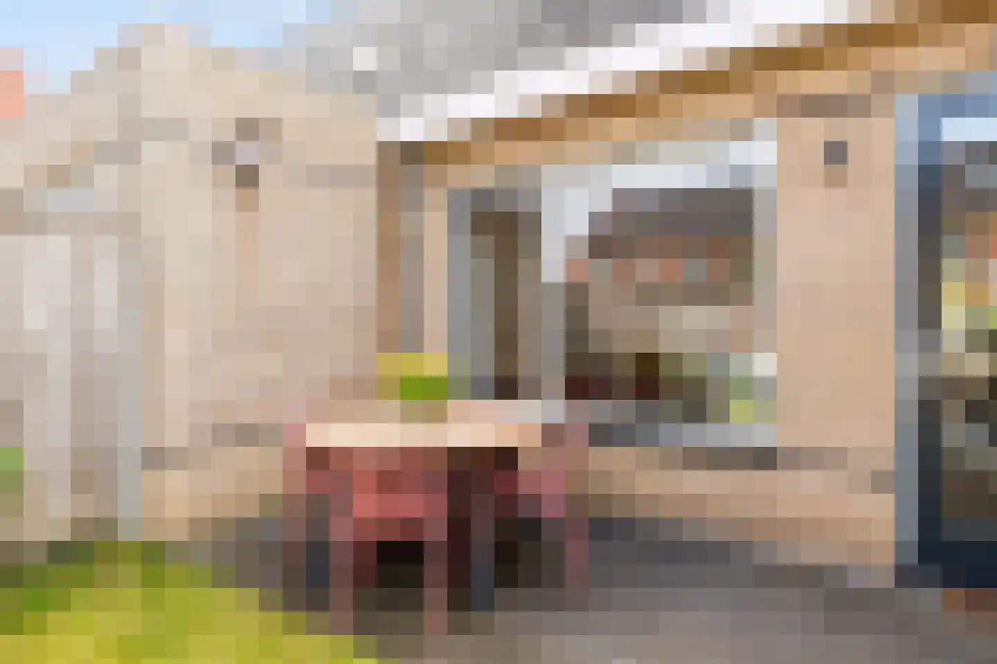 De Bente 36 Zeewolde thumbnail 42