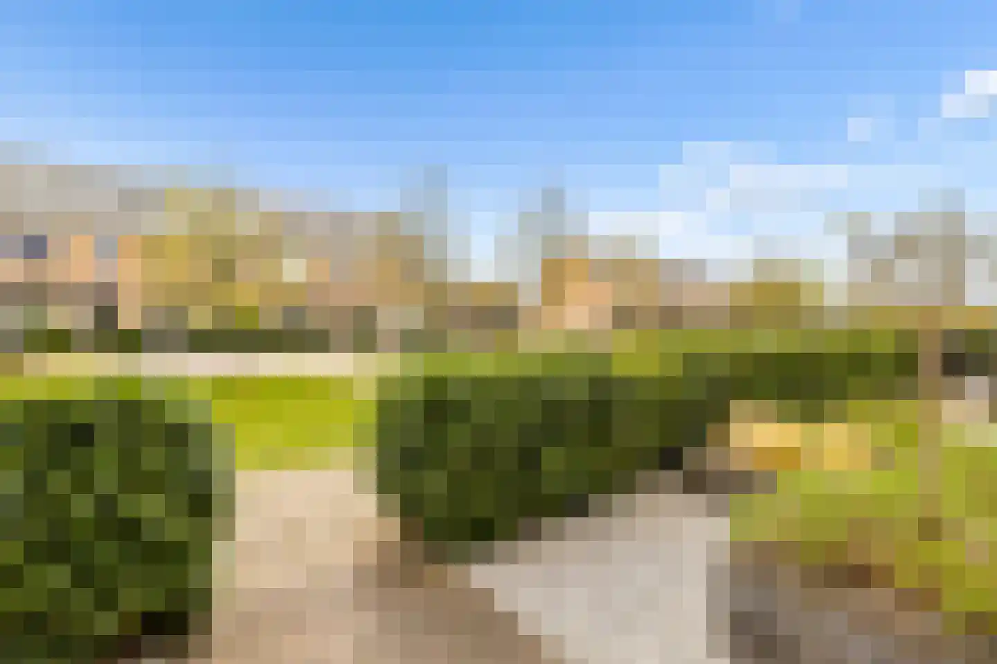 De Bente 36 Zeewolde thumbnail 43