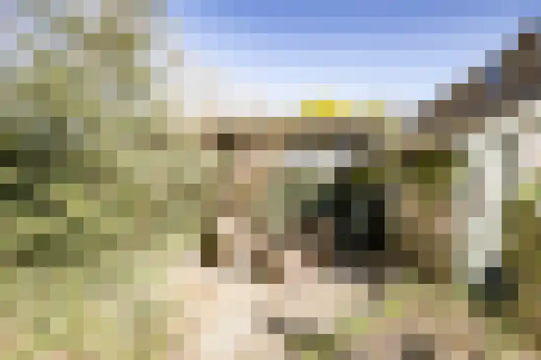 De Beo 47 Almelo thumbnail 22