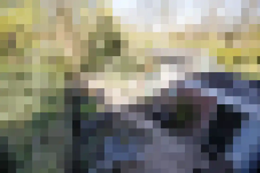 De Beo 47 Almelo thumbnail 25