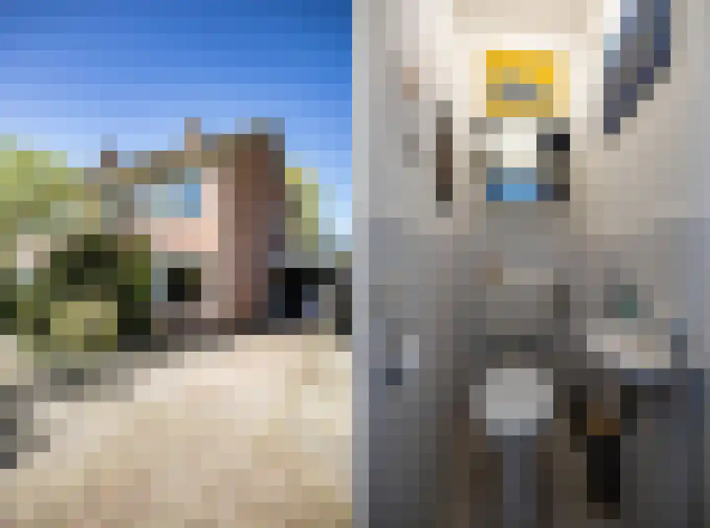 De Beo 47 Almelo thumbnail 6