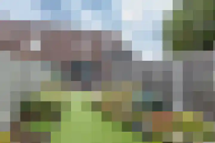 De Beo 57 Almelo thumbnail 20