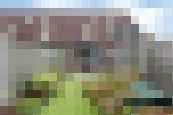 De Beo 57 Almelo thumbnail 21