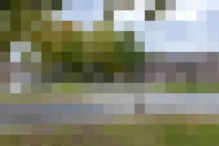 De Beo 57 Almelo thumbnail 23