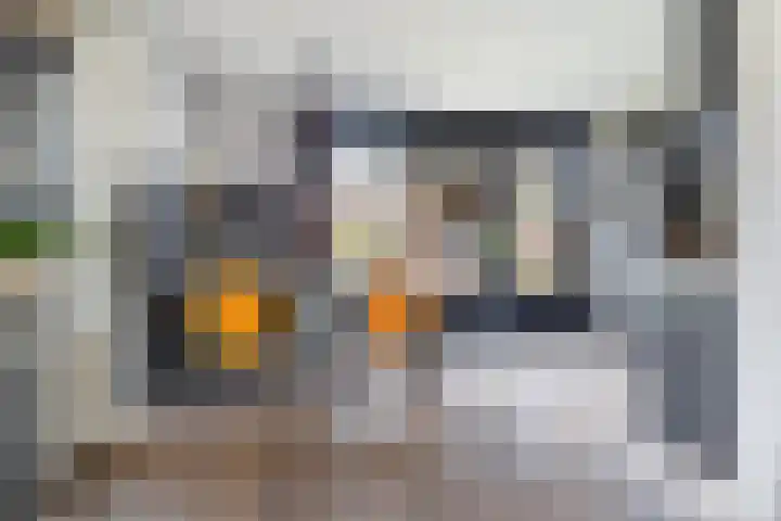 De Berchein 15 Bolsward thumbnail 11