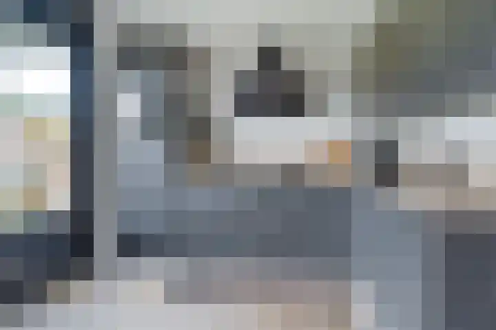 De Berchein 15 Bolsward thumbnail 13