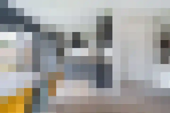 De Berchein 15 Bolsward thumbnail 14