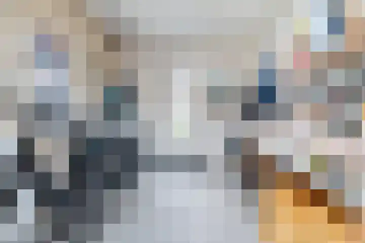 De Berchein 15 Bolsward thumbnail 18