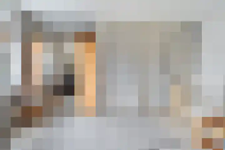 De Berchein 15 Bolsward thumbnail 32