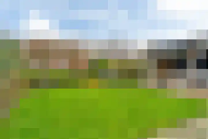 De Berchein 15 Bolsward thumbnail 35