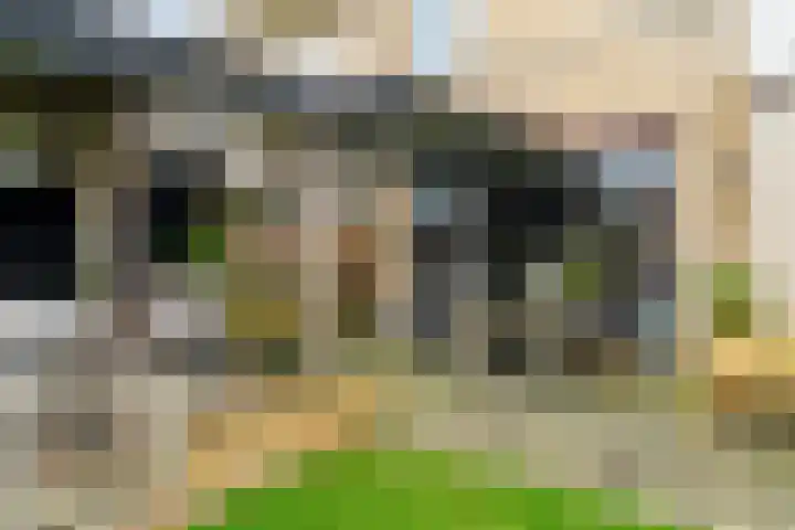 De Berchein 15 Bolsward thumbnail 38