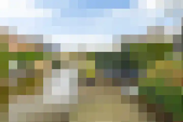 De Berchein 15 Bolsward thumbnail 41