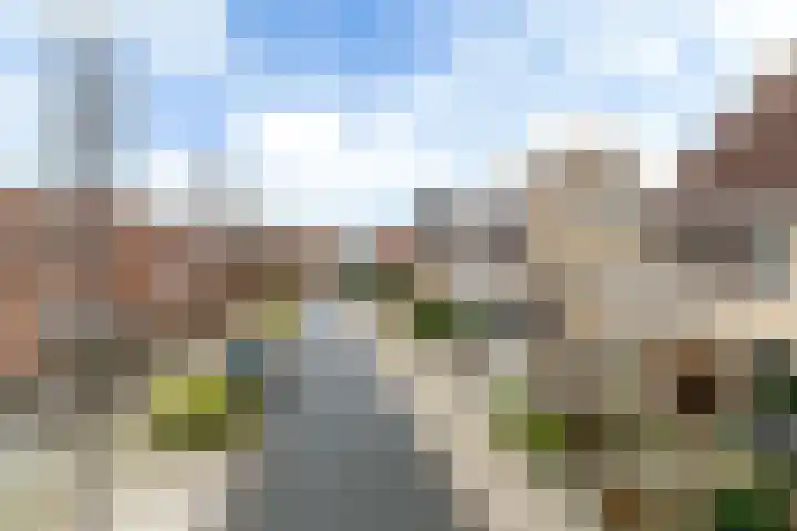De Berchein 15 Bolsward thumbnail 44
