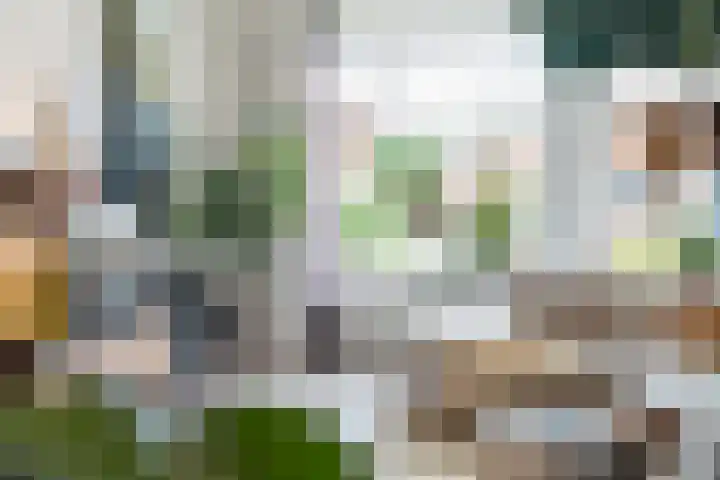De Berchein 15 Bolsward thumbnail 8