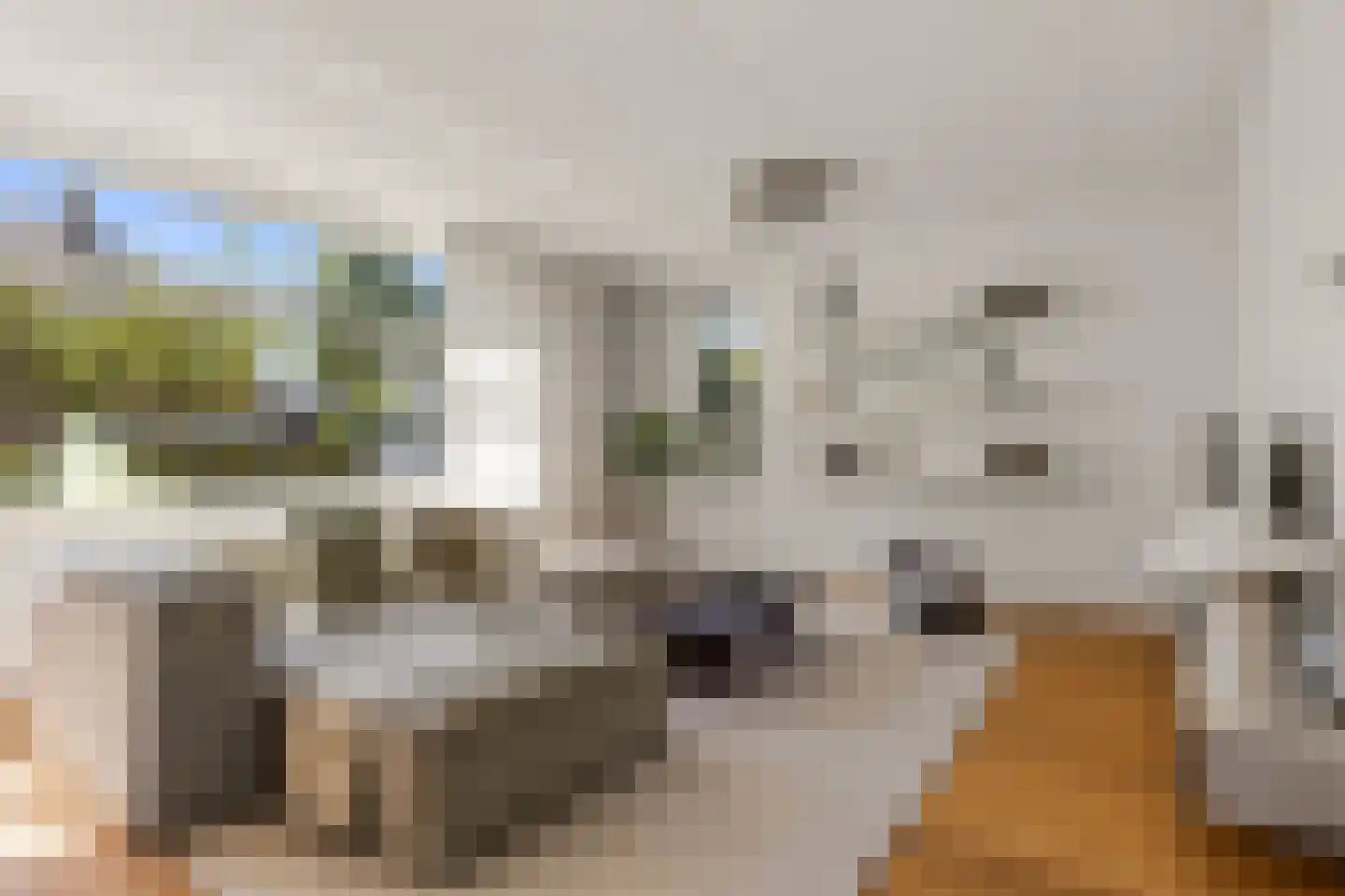 De Berchein 31 Bolsward thumbnail 10