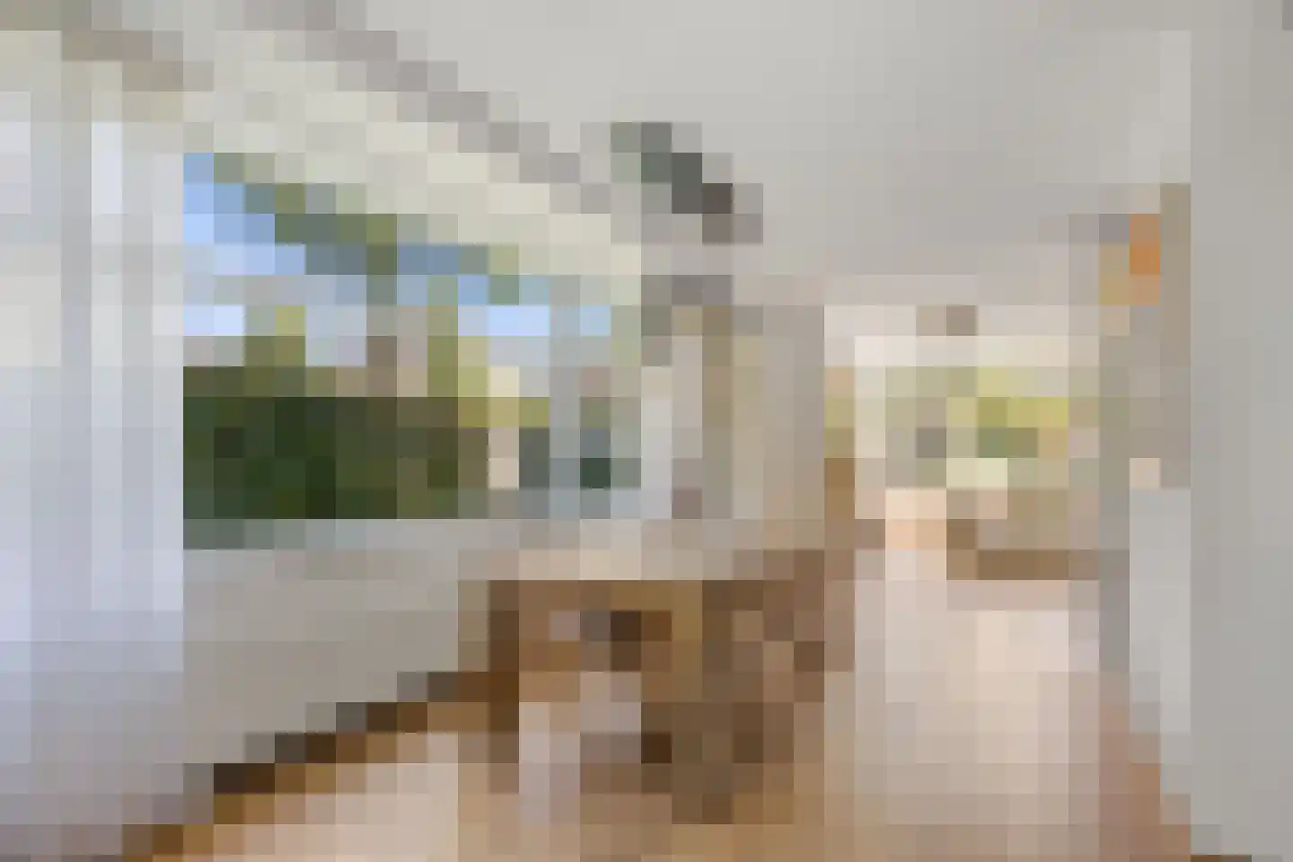 De Berchein 31 Bolsward thumbnail 14