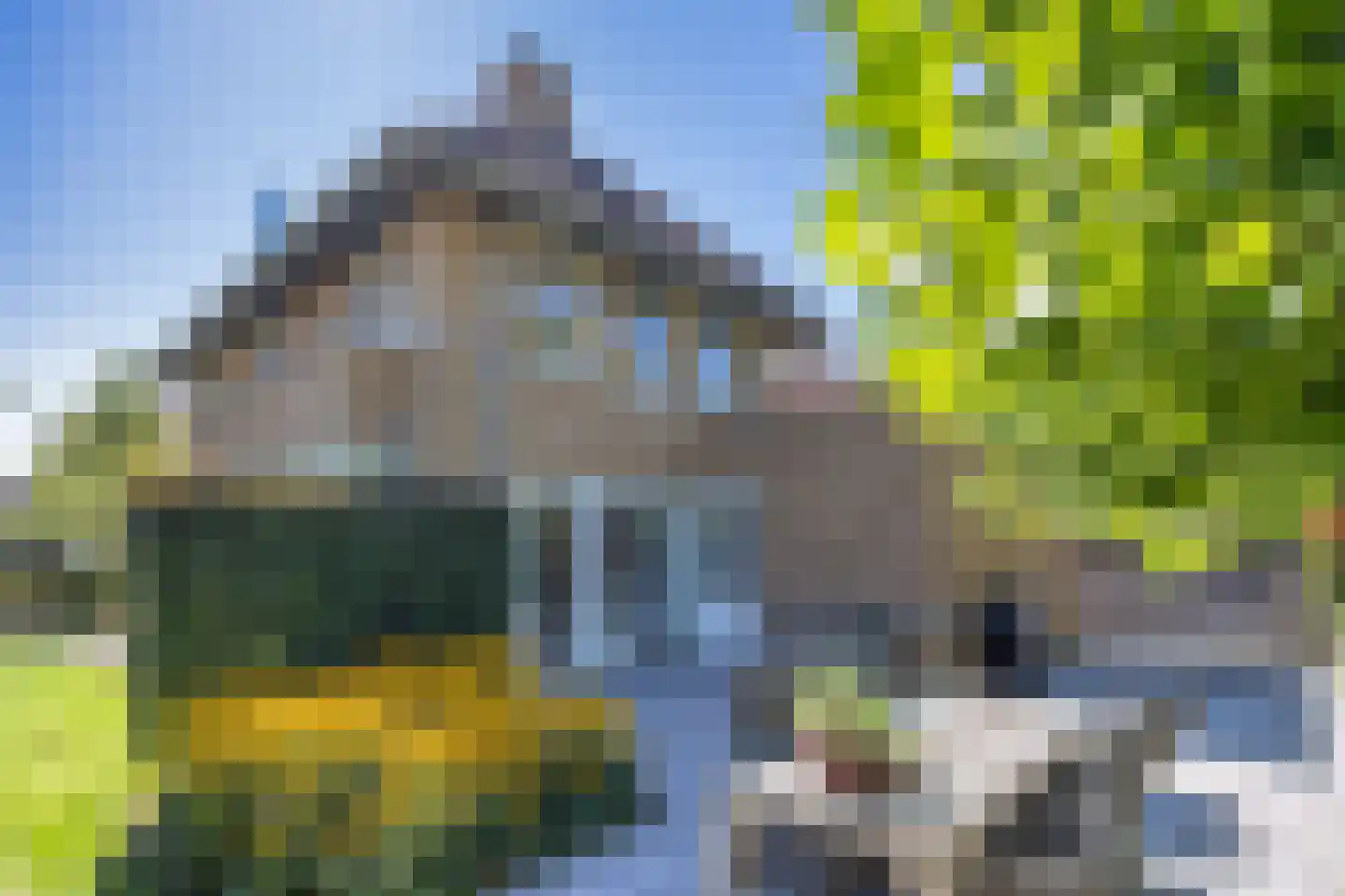 De Berchein 31 Bolsward thumbnail 41