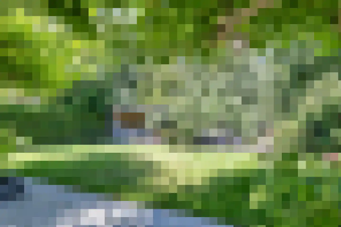 De Berchein 31 Bolsward thumbnail 44