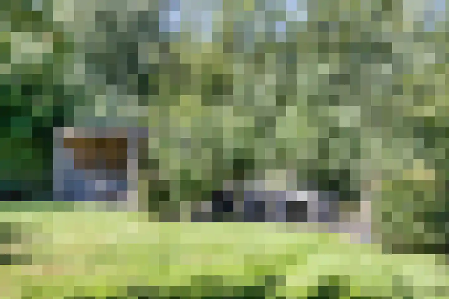 De Berchein 31 Bolsward thumbnail 45