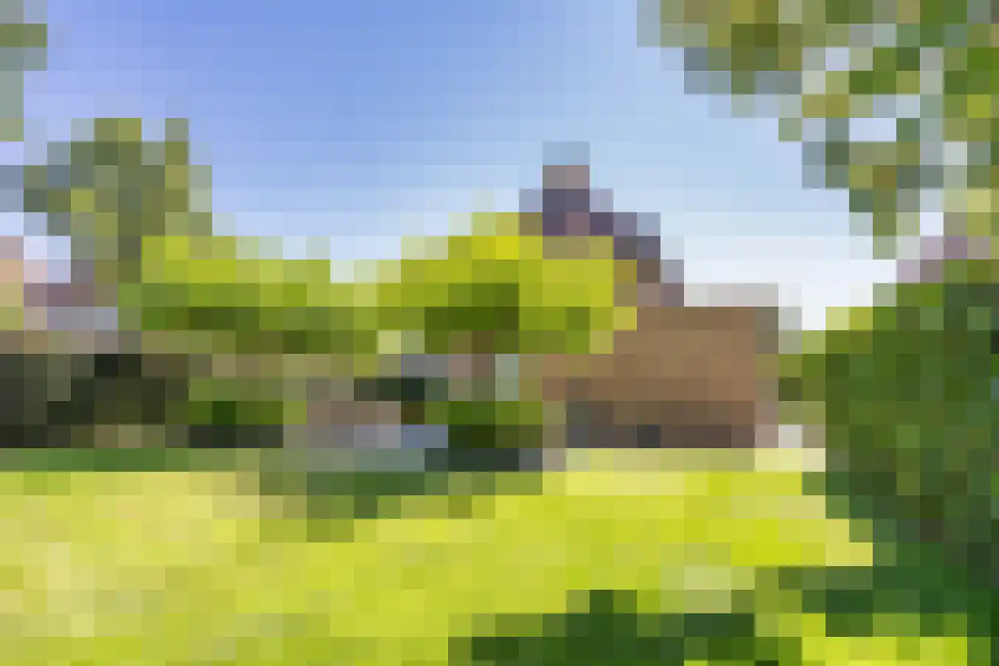 De Berchein 31 Bolsward thumbnail 5