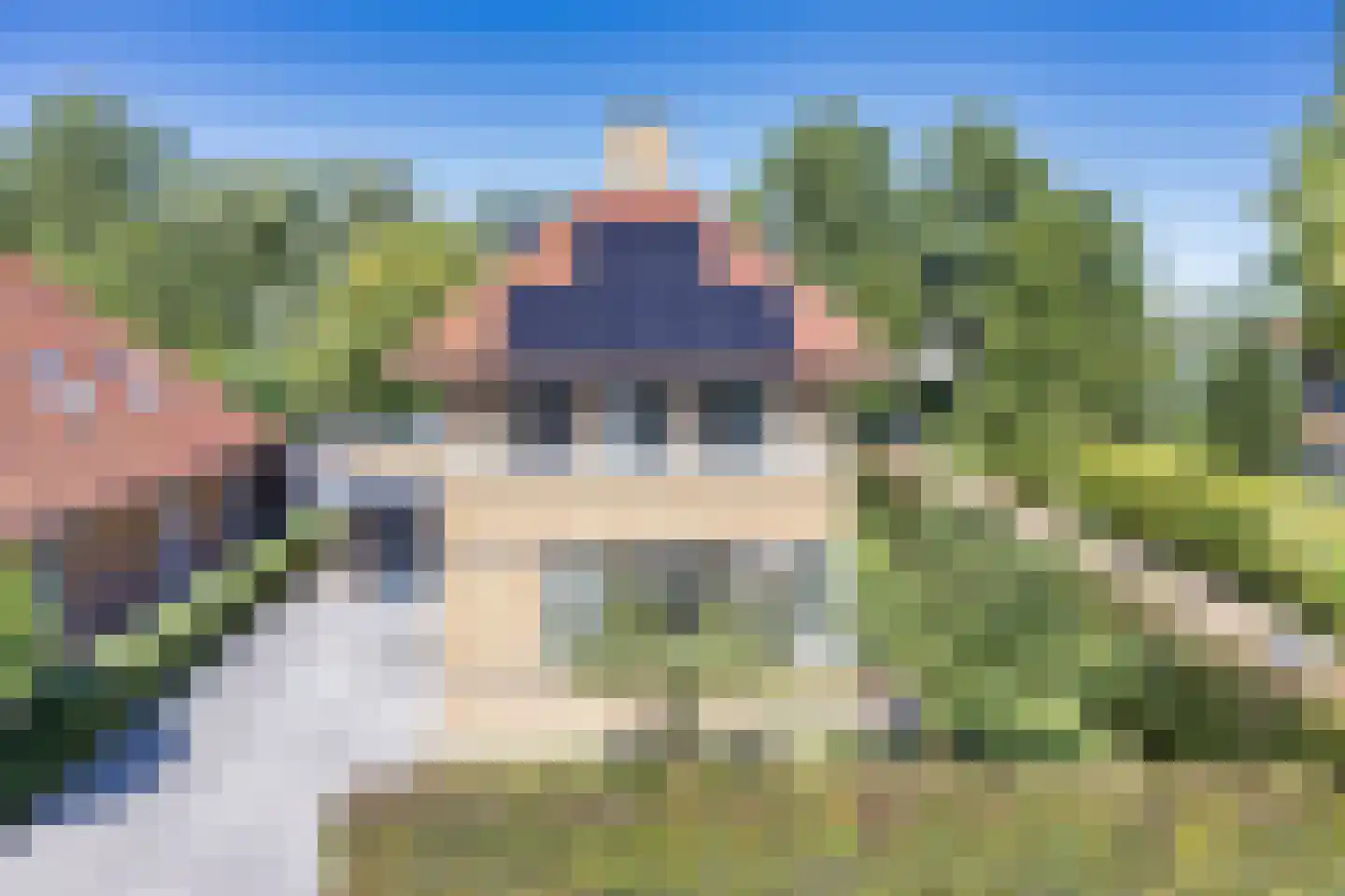 De Berchein 31 Bolsward thumbnail 53