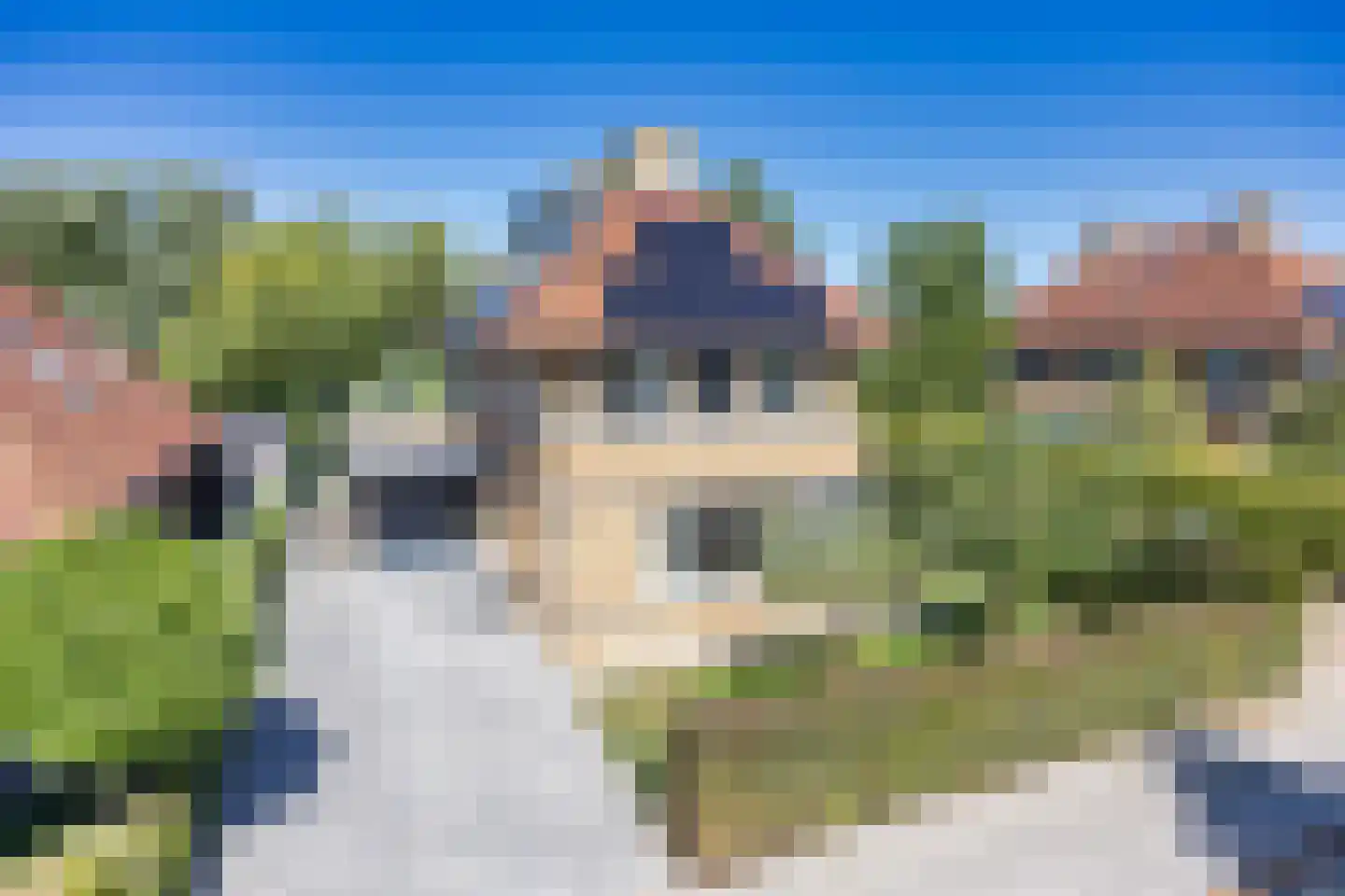 De Berchein 31 Bolsward thumbnail 59