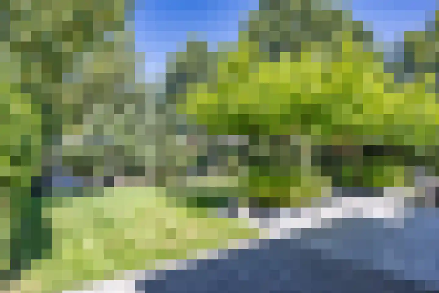 De Berchein 31 Bolsward thumbnail 6