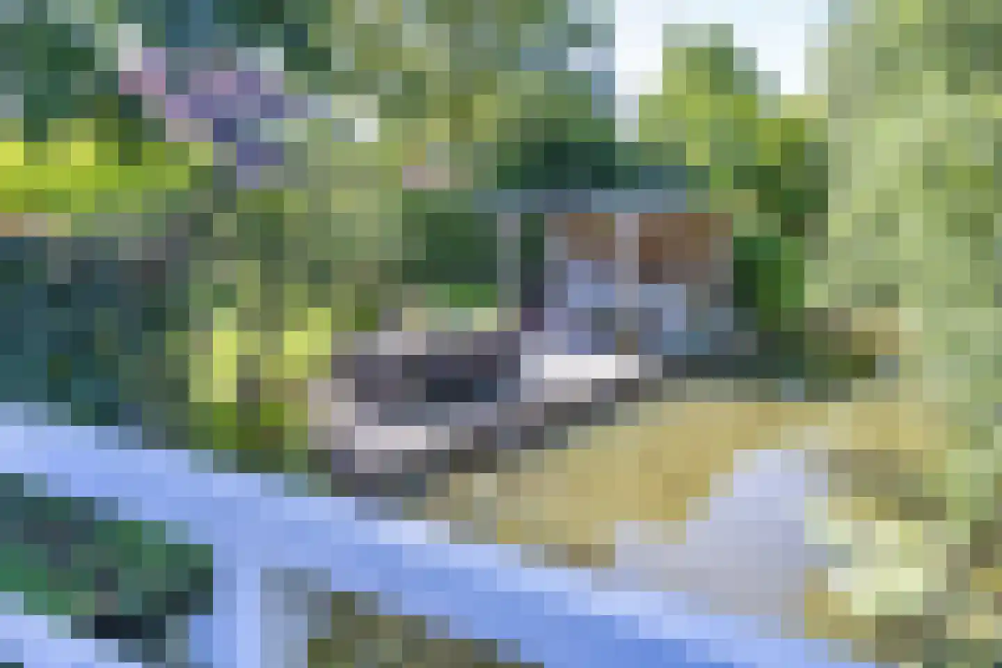 De Berchein 31 Bolsward thumbnail 7