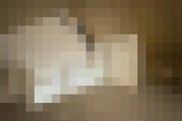 de Berg 18 Schijf thumbnail 26