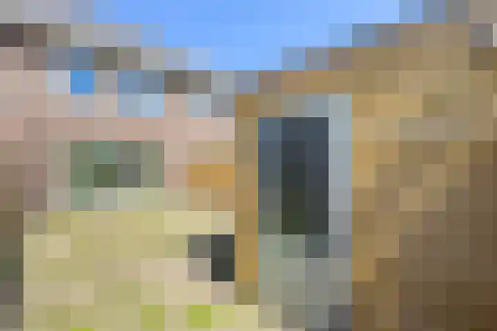 de Berg 18 Schijf thumbnail 31