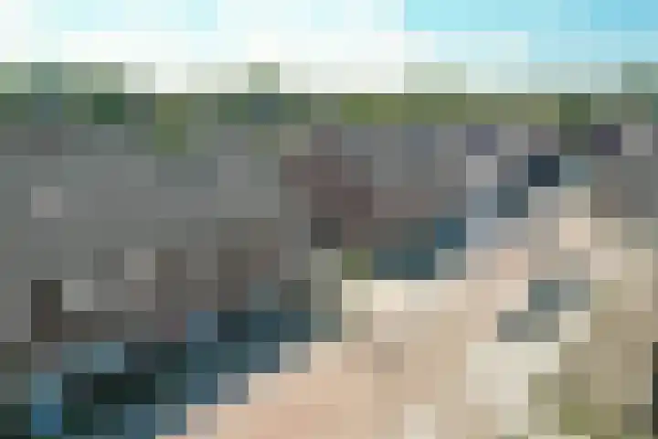 de Berg 18 Schijf thumbnail 38