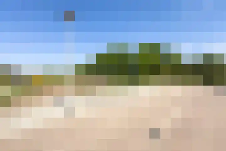 de Berg 18 Schijf thumbnail 39