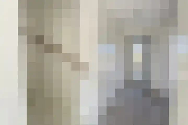 de Berg 18 Schijf thumbnail 7