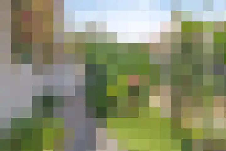 de Bergen 104 Helmond thumbnail 34