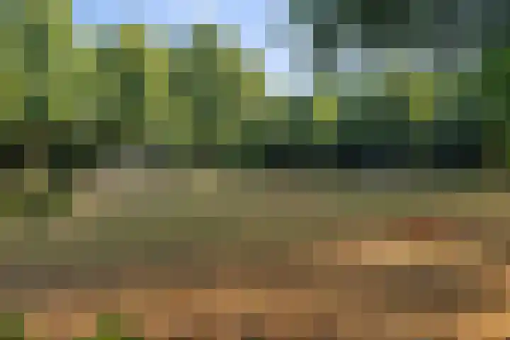 de Bergen 104 Helmond thumbnail 41