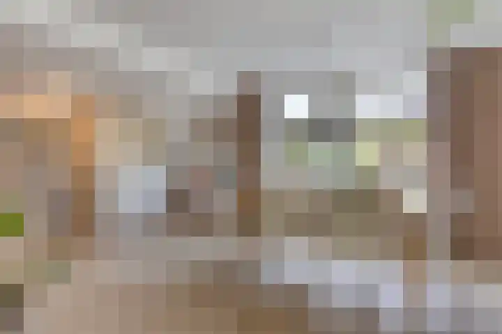 de Bergen 126 Helmond thumbnail 20