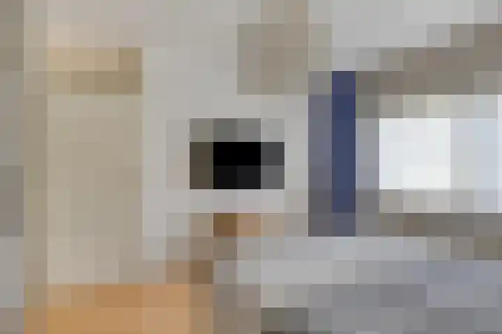 de Bergen 126 Helmond thumbnail 31