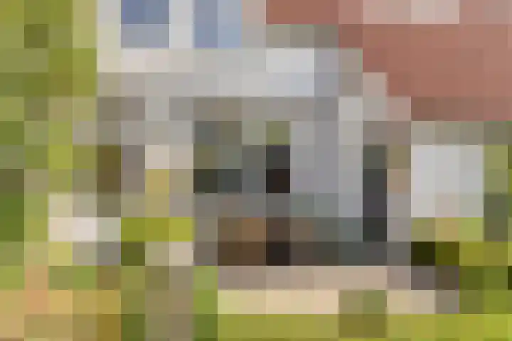 de Bergen 126 Helmond thumbnail 41