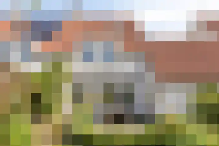 de Bergen 126 Helmond thumbnail 42