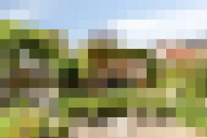 de Bergen 126 Helmond thumbnail 43