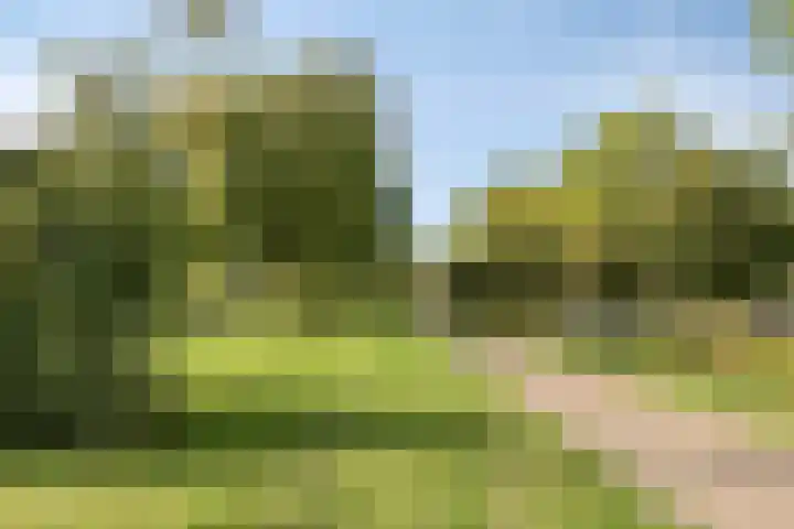 de Bergen 126 Helmond thumbnail 47
