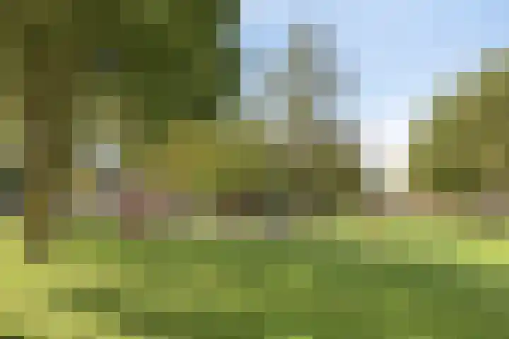 de Bergen 126 Helmond thumbnail 48