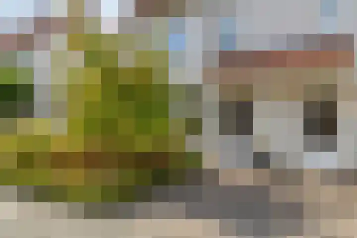 de Bergen 126 Helmond thumbnail 8