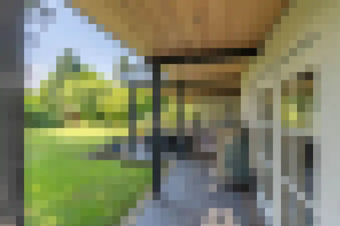 de Bergkamp 36 Overloon thumbnail 15