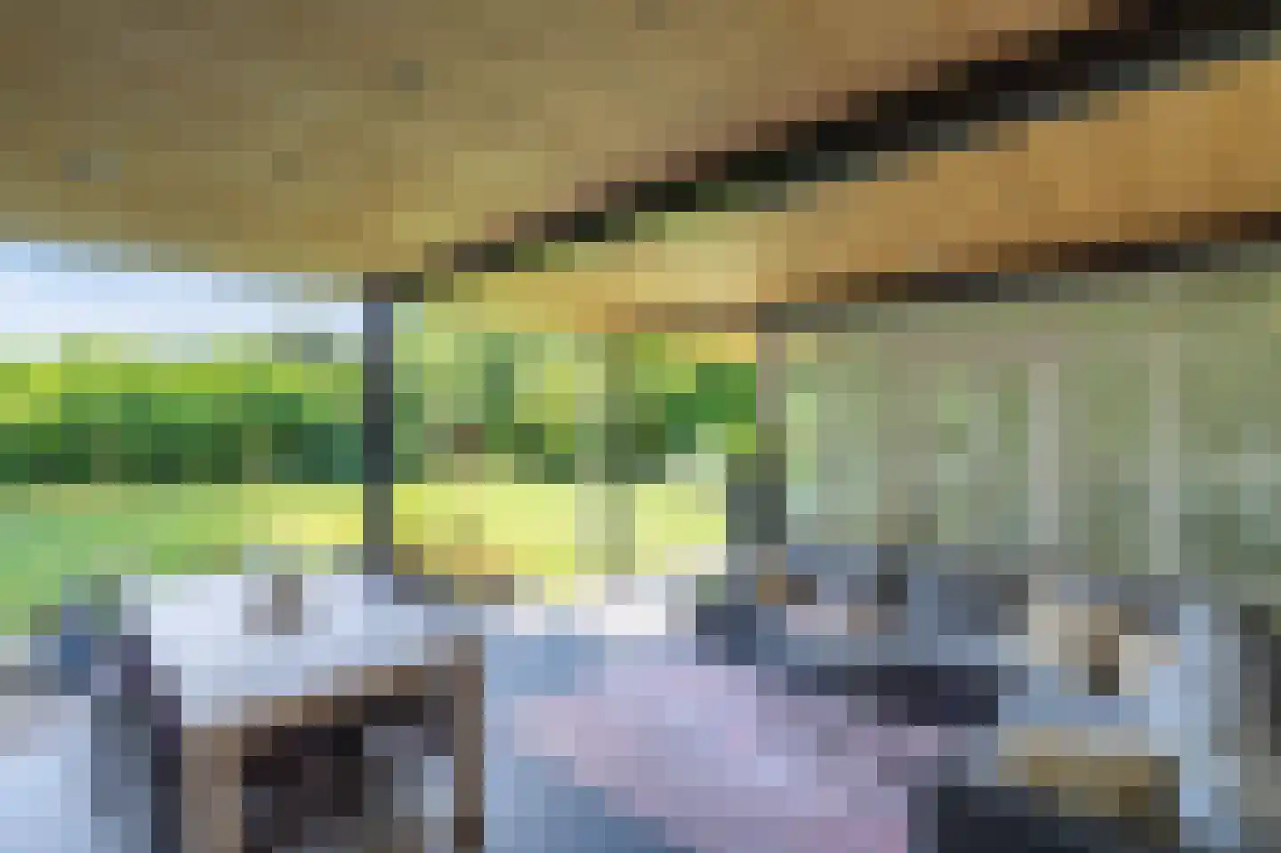 de Bergkamp 36 Overloon thumbnail 16