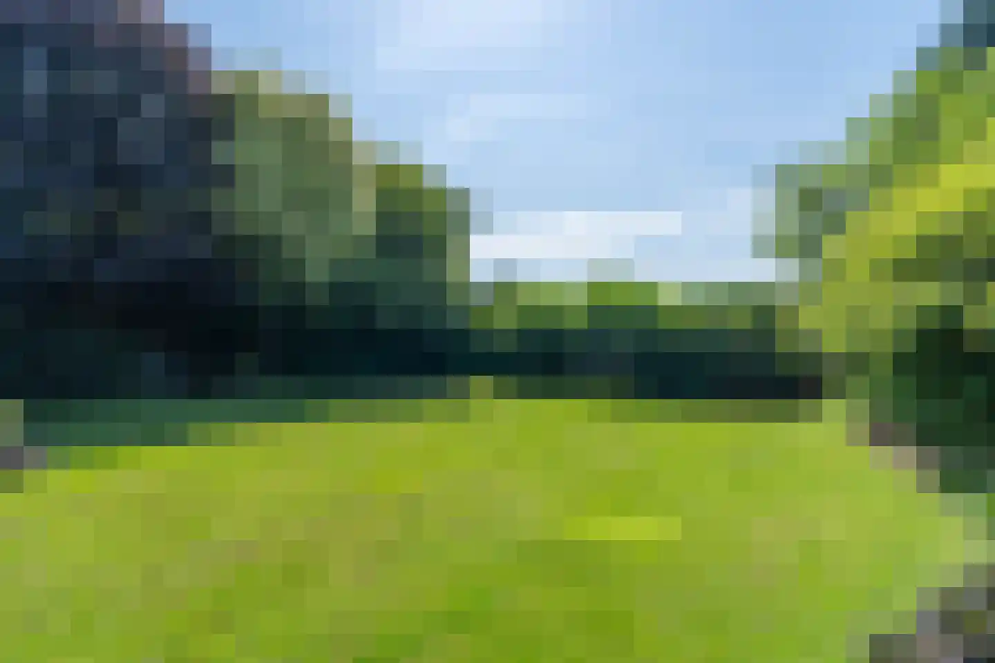 de Bergkamp 36 Overloon thumbnail 22