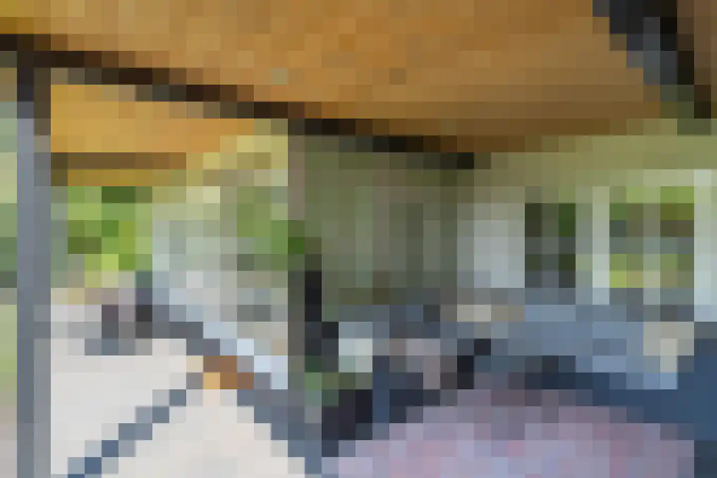 de Bergkamp 36 Overloon thumbnail 23