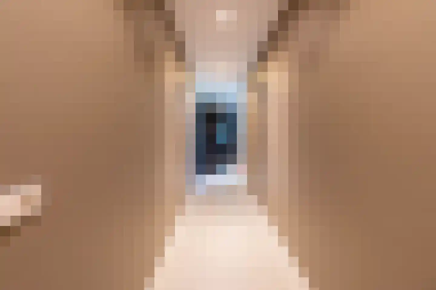 de Bergkamp 36 Overloon thumbnail 30