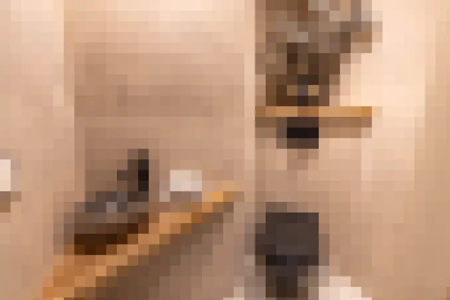 de Bergkamp 36 Overloon thumbnail 31